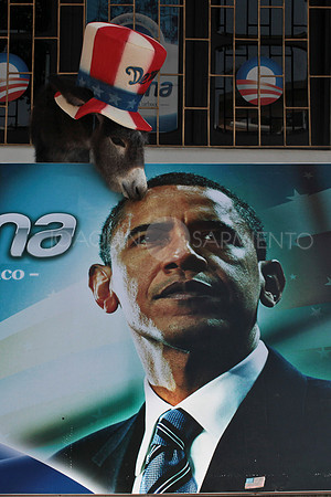 Cumbre de las Américas 2012